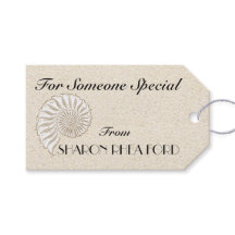 Élégante balise Shell