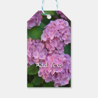 Étiquettes-cadeau Élégante et rustique Hortensia Hydrangea macrophyl