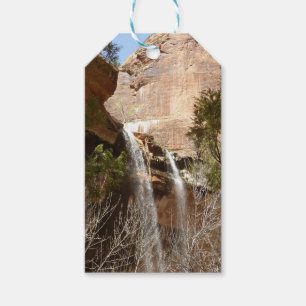 Étiquettes-cadeau Emerald Pool Falls I du parc national de Zion
