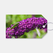 Étiquettes-cadeau énergie katydone (Devant (Horizontal))