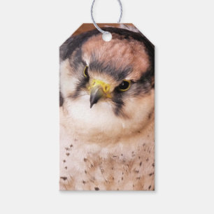 ÉTIQUETTES-CADEAU FALCON