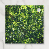 Étiquettes Cadeau Family Reunion Green Feuilles Tree Branches, événe (Dos)