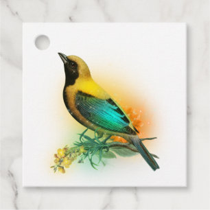 Étiquettes Cadeau Fantaisie Brillante Oiseau Jaune et Turquoise