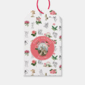 Étiquettes-cadeau Fées Château Fleurs Rose Anniversaire Fée des Cham (Devant)