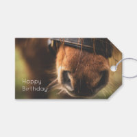 Fermeture d'un joli cheval Brown Nez Anniversaire