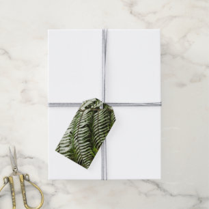 Étiquettes-cadeau Fern Fronds II Dark Green Nature