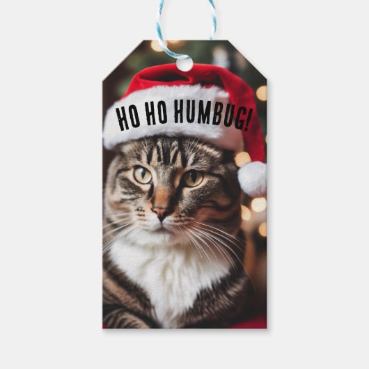 Étiquettes-cadeau Festive Tabby (Devant)