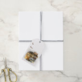 Étiquettes-cadeau Fête Chipmunk Pack de drapeaux cadeaux (Avec de la ficelle)