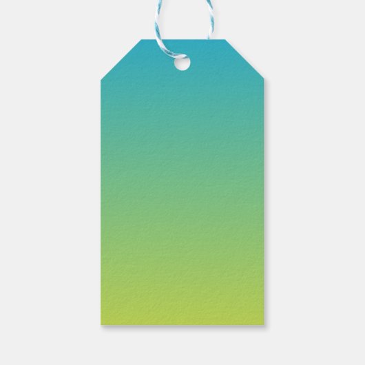 Étiquettes-cadeau Fête d'anniversaire garçon Pool Party (Dos)