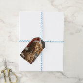 Étiquettes-cadeau Fête de Noël de Chien Vizsla (Avec de laficelle)