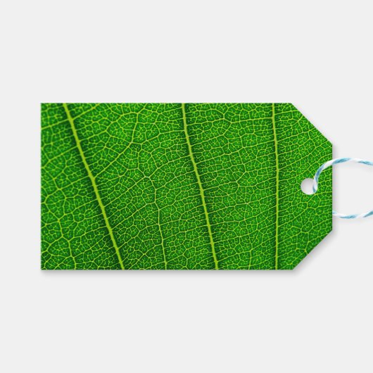 Étiquettes-cadeau Feuille d'arbre vert (Devant (Horizontal))