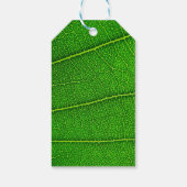 Étiquettes-cadeau Feuille d'arbre vert (Dos)