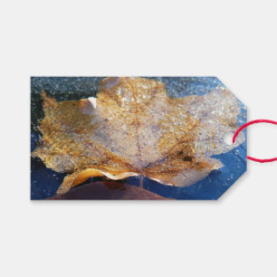 Étiquettes-cadeau Feuille d'érable jaune congelée Automne Nature