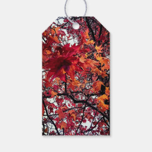 Étiquettes-cadeau Feuille rouge et orange