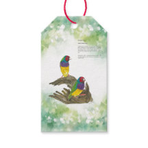 Finch Gouldien peint à la main coloré