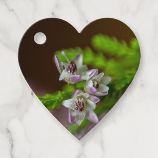 Étiquettes Cadeau Fleur de printemps de Heather à feuillage persista (Devant)
