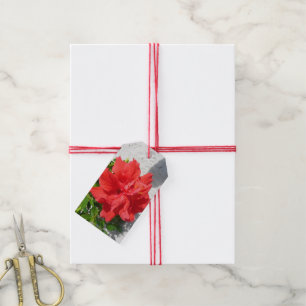 Étiquettes-cadeau Fleur double hibiscus rouge