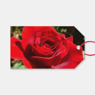 Étiquettes-cadeau Fleur rose rouge vif Belle florale