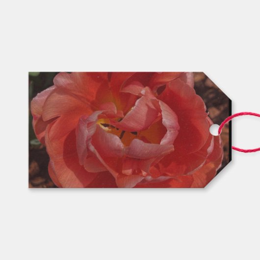 Étiquettes-cadeau fleur rouge (Devant (Horizontal))