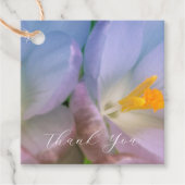 Étiquettes Cadeau Fleurs de crocus de printemps (Devant)