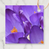 Étiquettes Cadeau Fleurs de Crocus de Printemps (Dos)