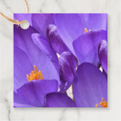 Étiquettes Cadeau Fleurs de Crocus de Printemps (Devant)