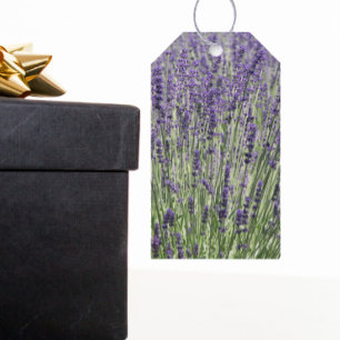 Étiquettes-cadeau Fleurs de lavande violet Floral