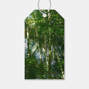 Étiquettes-cadeau Forest of Palm Trees Tropical Nature