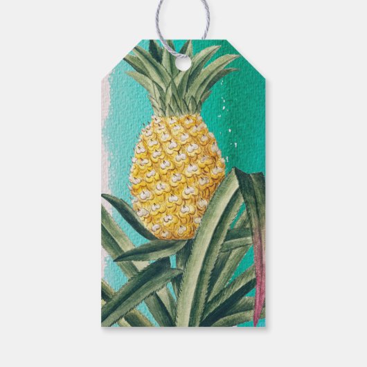 Étiquettes-cadeau Fruit d'ananas tropical d'été Fête d'anniversaire (Dos)