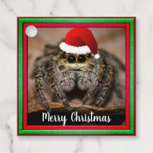 Étiquettes Cadeau Fun Jumping Spider à Santa Hat Noël
