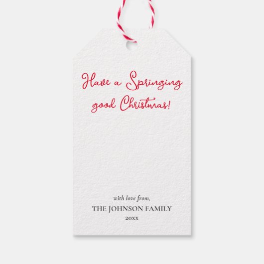 Étiquettes-cadeau Fun Springer Spaniel Chien Noël Nom personnalisé (Dos)