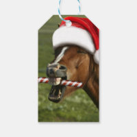 Funny Christmas horse with Santa hat smiling