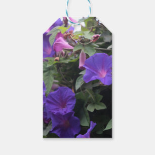 Étiquettes-cadeau Glorieuses du Matin de Printemps en Bleu