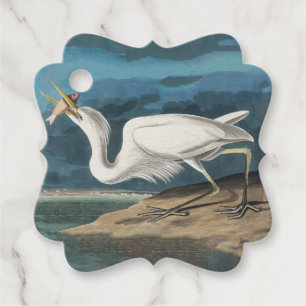 Étiquettes Cadeau Grande Peinture de la faune d'Audubon Heron blanc