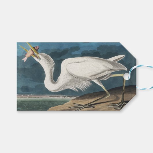 Étiquettes-cadeau Grande Peinture de la faune d'Audubon Heron blanc (Devant (Horizontal))