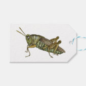 Étiquettes-cadeau Grasshopper vert (Devant (Horizontal))