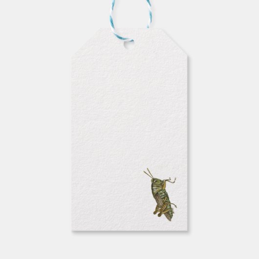 Étiquettes-cadeau Grasshopper vert (Dos)