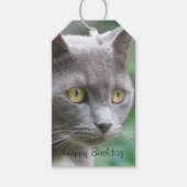 Étiquettes-cadeau Gray Kitty Chat (Devant)