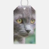 Étiquettes-cadeau Gray Kitty Chat (Dos)