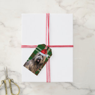 Étiquettes-cadeau Green Holiday Plaid Briard Berger Chien Noël