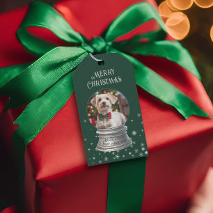 Étiquettes-cadeau Green Snowglobe Snowflop Photo