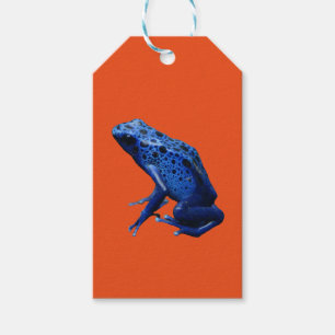 Étiquettes-cadeau Grenouille à tarte à poison bleu