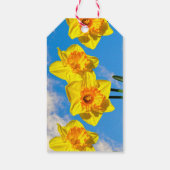 Étiquettes-cadeau Groupe de Daffodils Médaille d'or Fleurs (Dos)