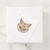 Étiquettes Cadeau Grumpy Cat (En situation)