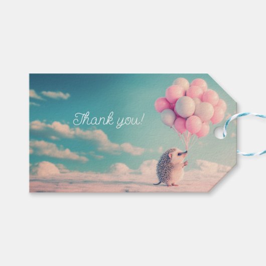 Étiquettes-cadeau Hérisson mignon avec ballons d'anniversaire, perso (Devant (Horizontal))