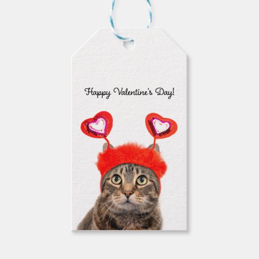 Étiquettes-cadeau Heureuse Sainte-Valentin Pour N'Importe Qui Tabby  (Devant)
