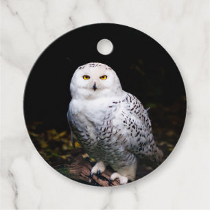 Étiquettes Cadeau Hibou des neiges majestueux d'hiver