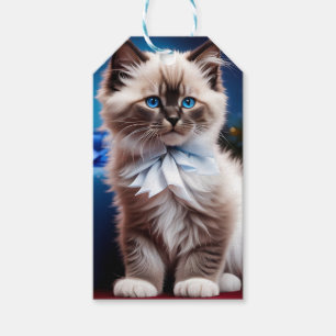 Étiquettes-cadeau Himalaya Kitten Présente arc bleu
