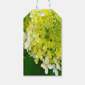 Étiquettes-cadeau Hydrangea Limelight Vert Chartreuse Élégant (Dos)