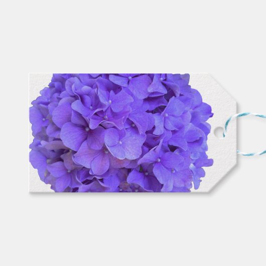 Étiquettes-cadeau Hydrangeas lilas lavande fleurs violettes (Devant (Horizontal))